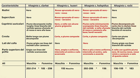 Tabella Greenway x sito.PNG
