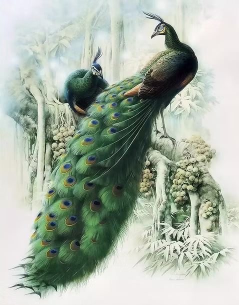 Pavone by Zeng Xiao Lian_edited.jpg